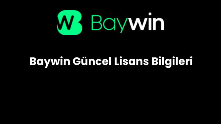 Baywin Güncel Lisans Bilgileri