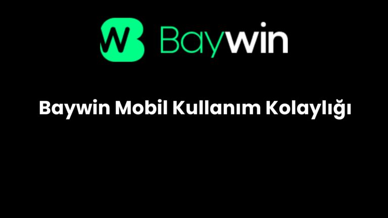 Baywin Mobil Kullanım Kolaylığı
